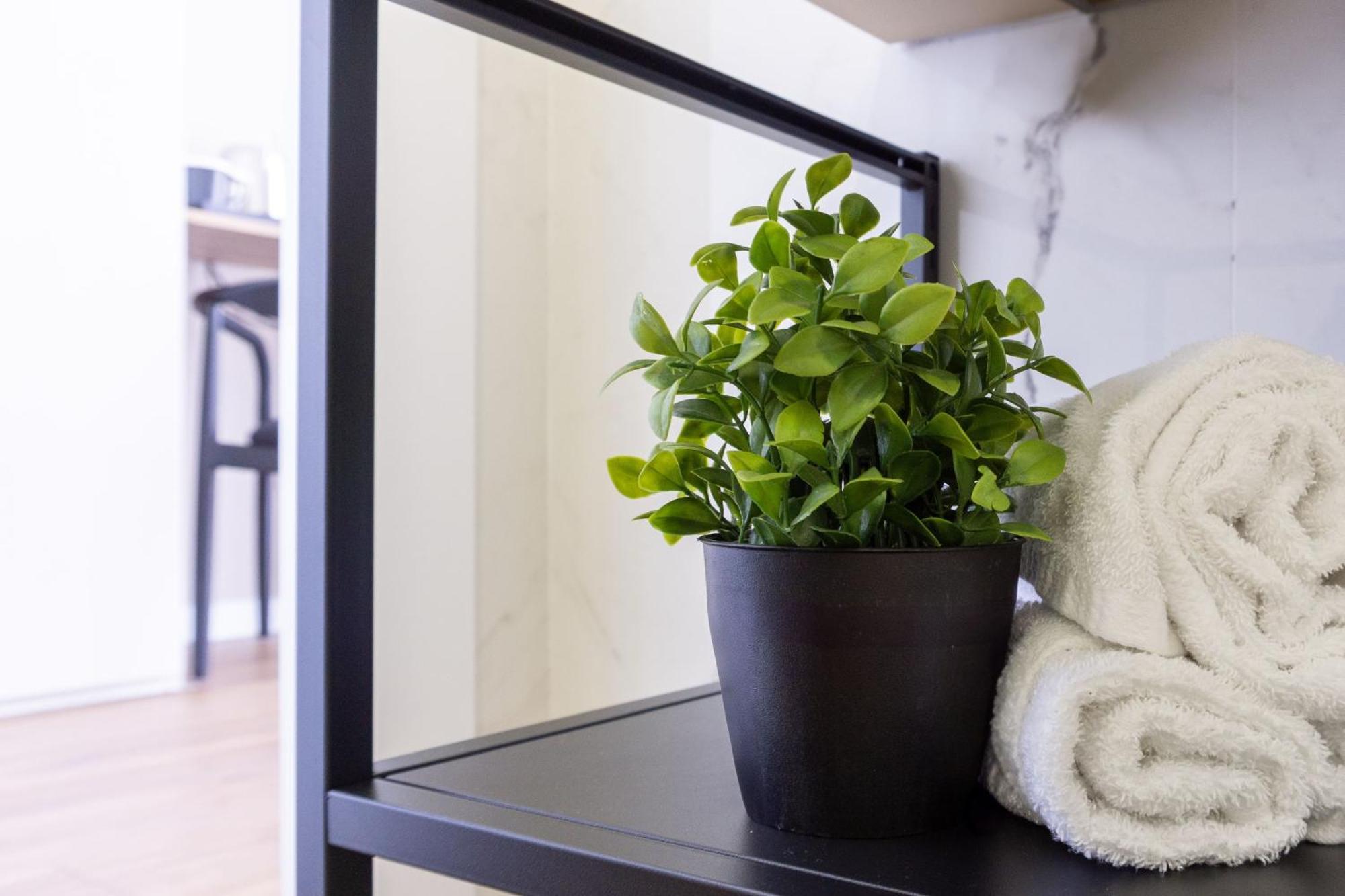 Rome Bliss Guesthouse — Photos 3